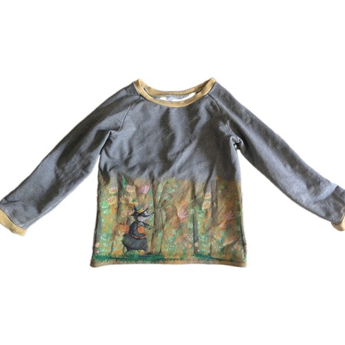 Pullover sweatshirt - pullover,,
